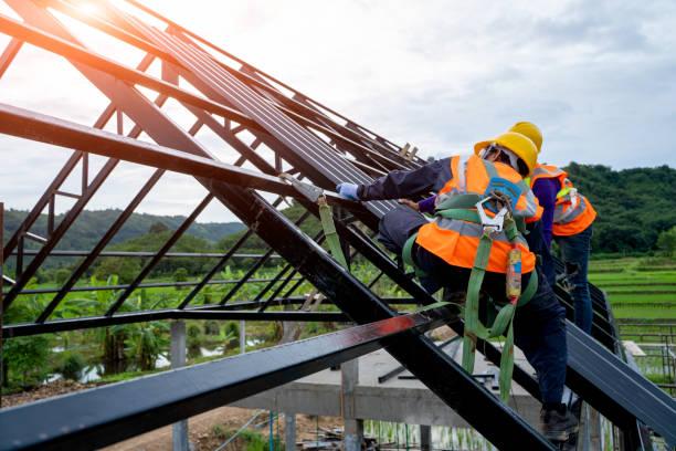 Best Roof Gutter Cleaning  in Paris, TN