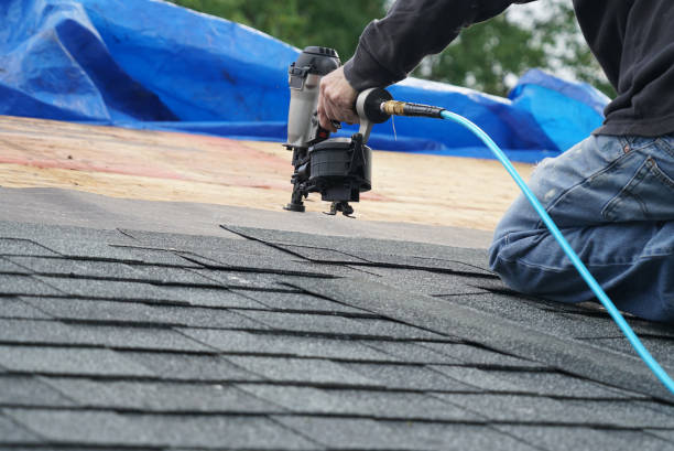 Best Metal Roofing Contractor  in Paris, TN