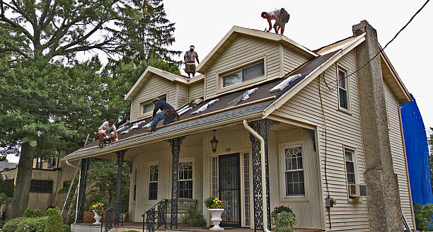 Best Best Roofing Contractors  in Paris, TN